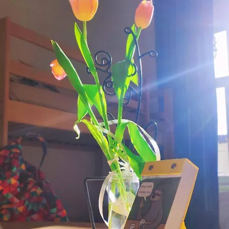 Europe-u Copropriété *