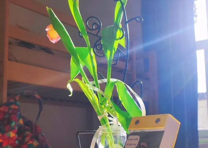 欧洲旅馆 分契式公寓 *